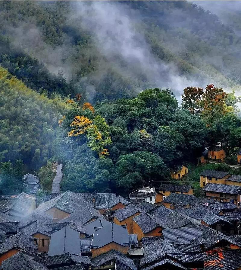 如何在家自制奶茶视频的做法