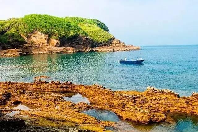 德伦口腔2024年度盛典”即将启幕