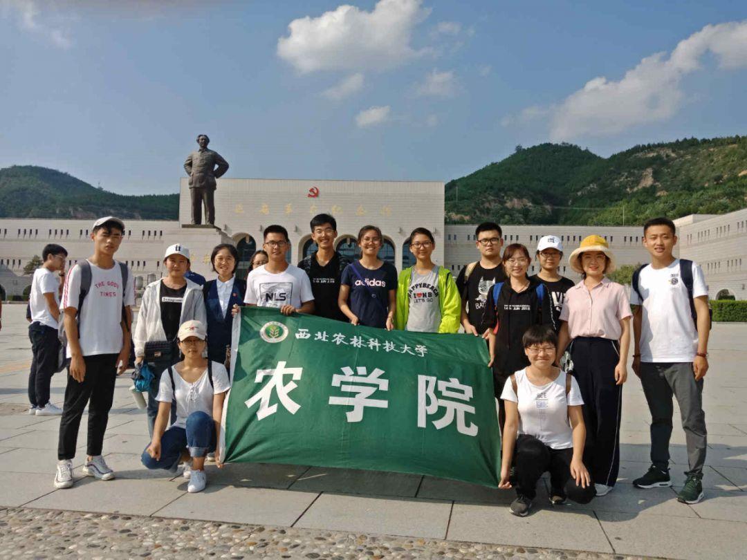 加勒比海度假村